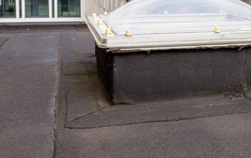 disadvantages of Model Village flat roofs