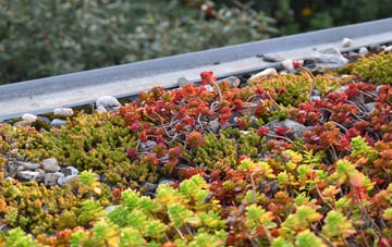 the cost of Model Village green roof installation